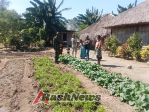 Babinsa Koramil 1618-03/Insut, Sertu Domingos Soares, Ajak Warga Desa Humusu Oekolo Tanam Sayur untuk Ketahanan Pangan