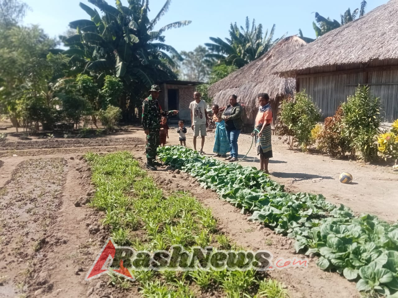 Babinsa Koramil 1618-03/Insut, Sertu Domingos Soares, Ajak Warga Desa Humusu Oekolo Tanam Sayur untuk Ketahanan Pangan
