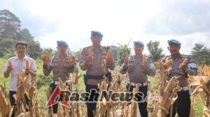 Sipropam Polres Karangasem Panen 200 Kg Jagung dari Lahan Masyarakat Binaan