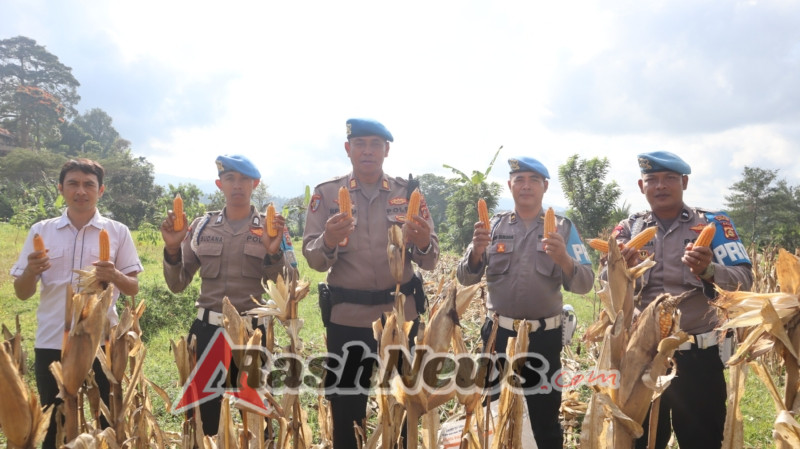 Sipropam Polres Karangasem Panen 200 Kg Jagung dari Lahan Masyarakat Binaan