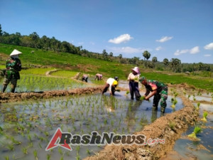 Babinsa Baa Ajak Petani Tetap Semangat di Tengah Cuaca Terik