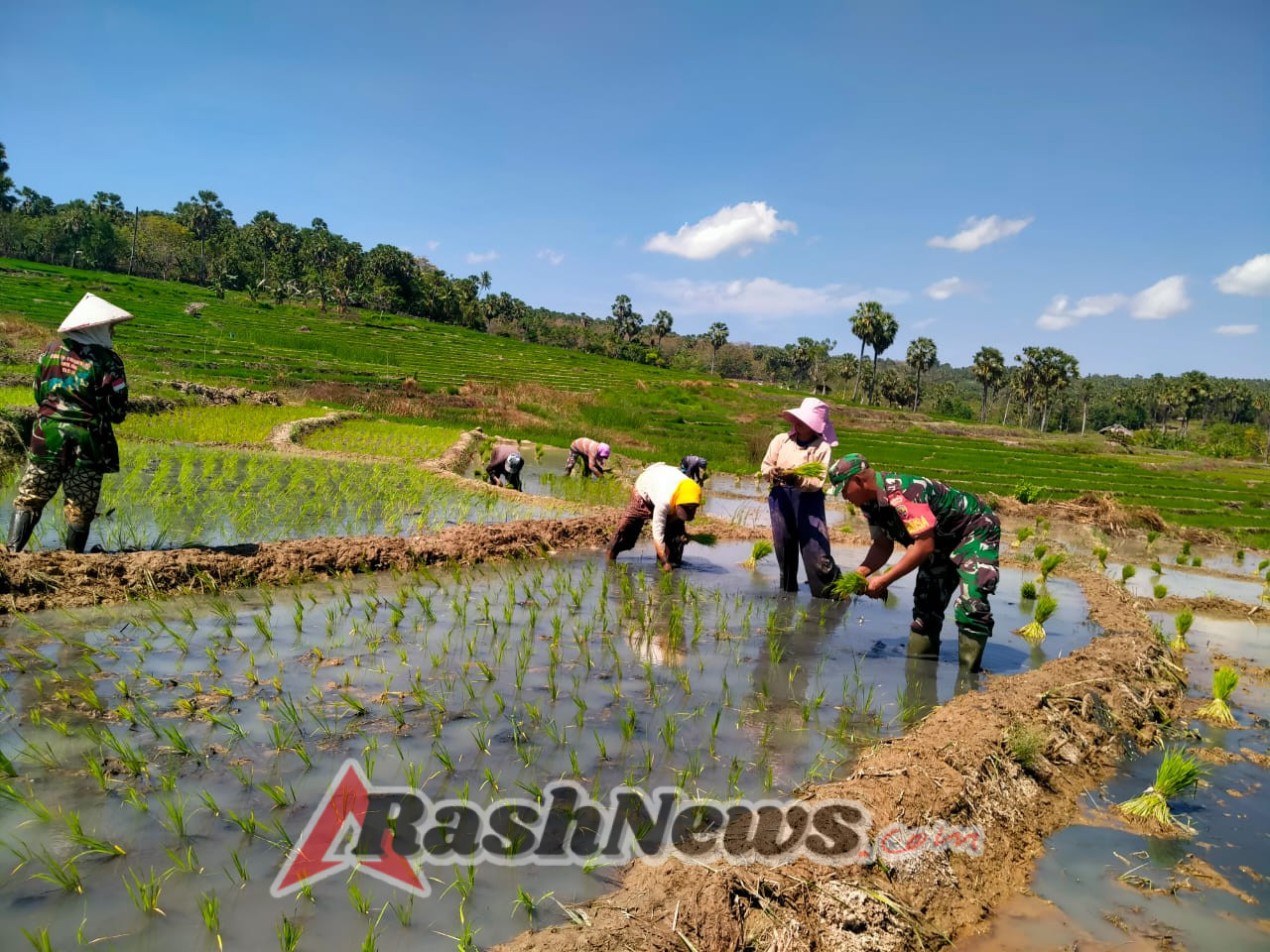 Babinsa Baa Ajak Petani Tetap Semangat di Tengah Cuaca Terik
