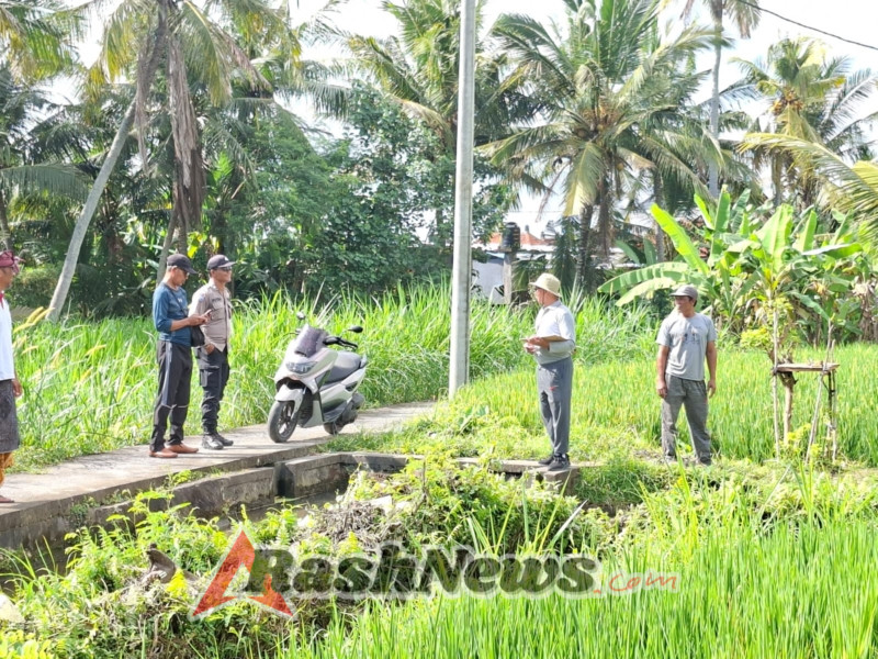 Pengukuran Perbaikan Irigasi, Polsek Blahbatuh Hadir Amankan dan Dukung Ketahanan Pangan