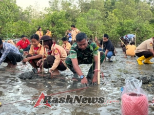 Hijaukan Pesisir, Kasdim 1601/Sumba Timur Tanam Mangrove di HUT Pramuka Ke-64