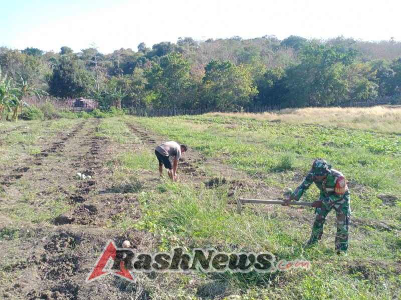 Babinsa Pantai Baru Dampingi Petani Persiapkan Musim Tanam
