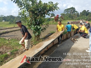 Kapolsek Marga Bersama Personil Gotong Royong Perbaiki Saluran Irigasi Subak Uma Wani