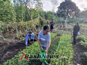 Pemupukan Tanaman Terong dan Sawi Hijau, Babinsa Ende Bersama PPL Aktif di Lapangan