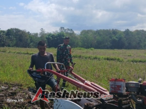 Pendampingan Hanpangan,Babinsa Praingkareha Eratkan Hubungan TNI dan Masyarakat