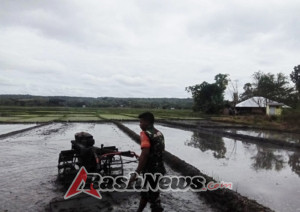 Babinsa Kodim 1601/Sumba Timur Dampingi Petani Wujudkan Swasembada Pangan