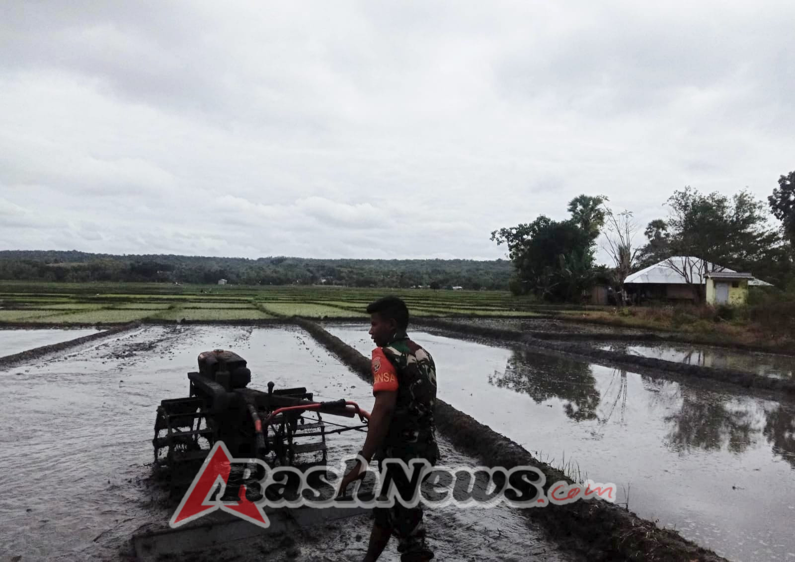 Babinsa Kodim 1601/Sumba Timur Dampingi Petani Wujudkan Swasembada Pangan