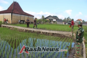 Kebersamaan TNI dan Masyarakat Buahkan Hasil, Jalan Usaha Tani Desa Batuan Segera Terpakai
