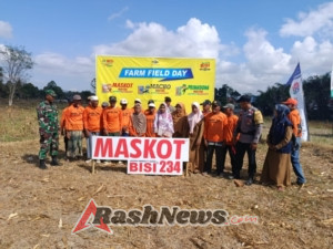 Uji Coba 3 Varian Jagung Baru Berikan Harapan Panen Lebih Melimpah di Desa Dena