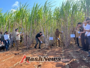 Dandim 1601/Sumba Timur Bersama Forkopimda Sambut Kunker Menteri di PT Muria Sumba Manis