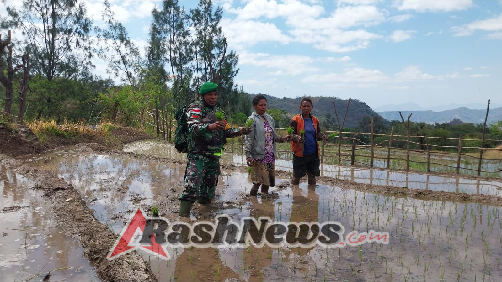 Babinsa Koramil 1618-02/Miobar Bantu Petani Tanam Padi di Dusun Oelfab, Tasinifu