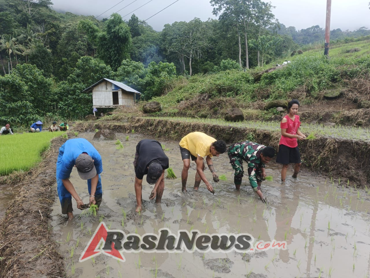 Babinsa Sertu Dinis Fernandes Aktif Dukung Program Ketahanan Pangan di Ende