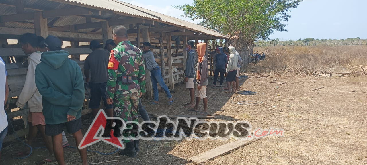 Kodim 1601/Sumba Timur Bantu Sukseskan OP3T di Kecamatan Pahunga Lodu