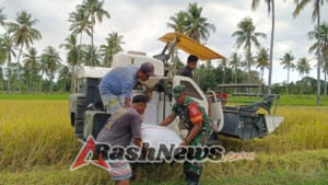 Sinergi TNI dan Petani: Panen Padi di Kawangu Gunakan Teknologi Mesin Potong