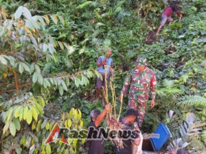 Sinergi TNI dan Masyarakat, Reboisasi di Desa Kloangpopot Berjalan Sukses