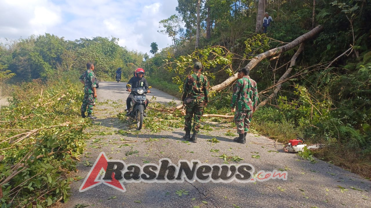 Kodim 1613/Sumba Barat Turun Tangan Bersihkan Pohon Tumbang di Sumba Tengah