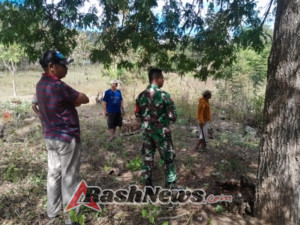 Babinsa Koramil 1618-04/Bisel Laksanakan Pemantauan Wilayah dan Dukung Ketahanan Pangan di Desa Upfaon