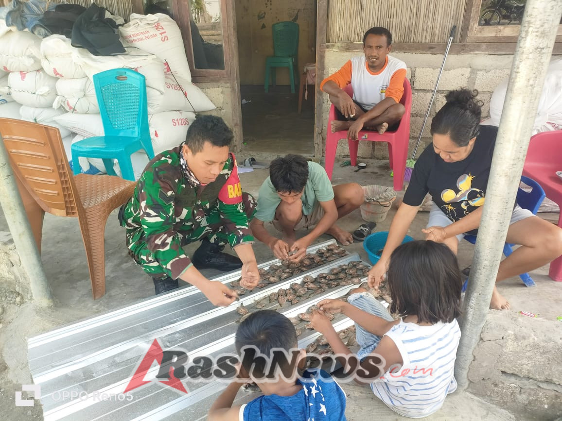 Manunggal Dengan Rakyat Sertu Herlon Sine Babinsa Kodim 1621/TTS Bantu Warga Jemur ikan Asin