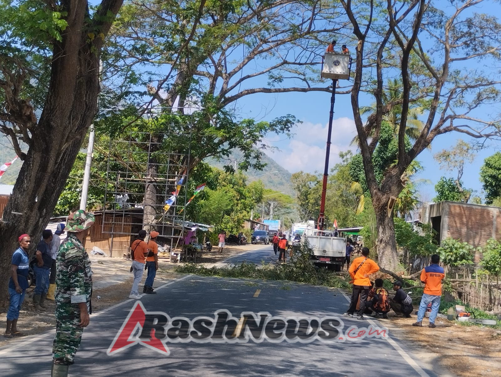 Wujud Kepedulian TNI, Babinsa Dampingi Penertiban Kayu yang Membahayakan Warg