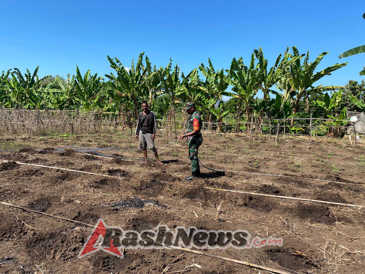 Babinsa Koramil 1624-06/Wulanggitang Bantu Warga Siapkan Lahan Tanam Kacang Tanah