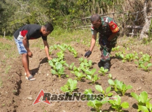 Babinsa Koramil 1618-02/Miobar Dampingi Petani Sayur di Desa Fatuneno
