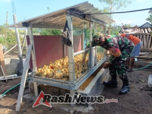 Babinsa Koramil Narmada Sinergi dengan UMKM Peternakan Bebek