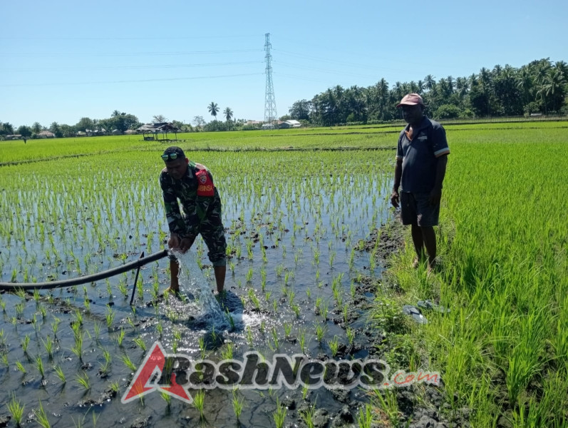 TNI AD Ujung Tombak Bantu Petani Ranokolo Lewat Pendampingan Pompanisasi Sawah Tadah Hujan