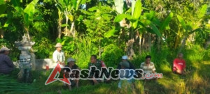 Semangat Gotong Royong, Babinsa dan Subak Buwug Bersatu Jaga Pengairan Sawah