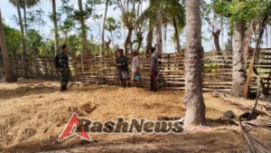 Wujud Kepedulian TNI, Babinsa Koptu Alis Sinlae Dampingi Petani Jaga Ketahanan Pangan