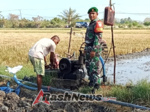 Serda Rano Karno Hadir di Tengah Petani, Pastikan Air Sawah Mengalir Lancar