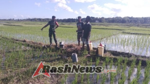 Kebersamaan Babinsa dan Petani Desa Palanggai dalam Mendukung Ketahanan Pangan
