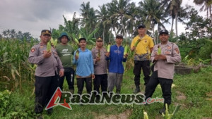 Kapolsek Mengwi dan Petani Panen Jagung