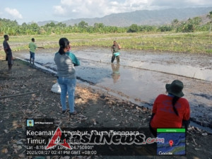 Babinsa Tulleng Dampingi Petani dalam Pembuatan Tempat Semai Padi