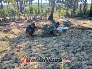 Melki Weto: Babinsa Bantu Petani Mulai Dari Pengolahan Lahan, Menanam Hingga Panen