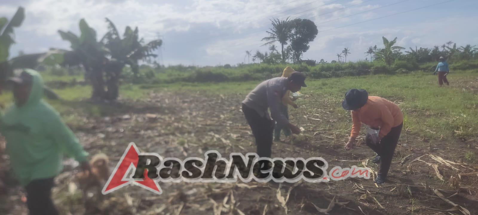 Bhabinkamtibmas Polsek Blahbatuh Ajak Petani Saba Sukseskan Program Ketahanan Pangan