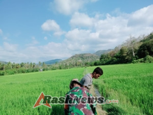 Tak Hanya Mengawal Keamanan, Babinsa Juga Bantu Petani di Sawah
