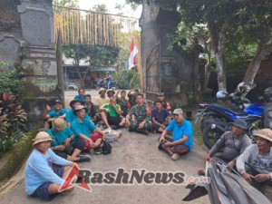 Komitmen TNI Tingkatkan Kesejahteraan Petani, Koramil Dawan Bersinergi Tanam Padi Hibrida