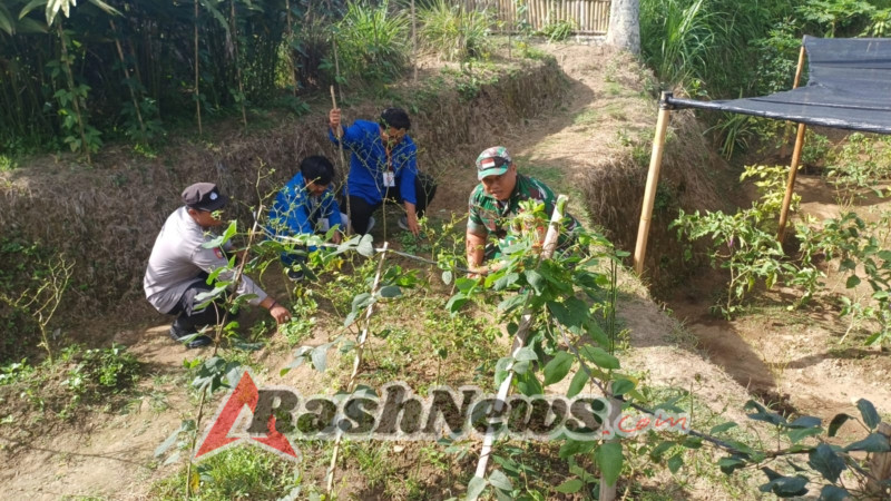 Babinsa Desa Sumita Bersama Mahasiswa KKN Warmadewa Gelar Gotong Royong dan Tanam Apotik Hidup