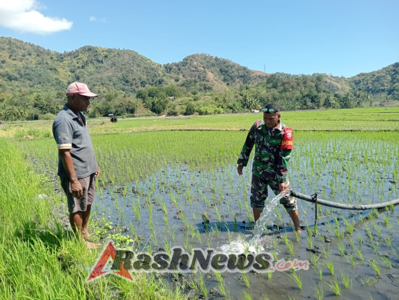 Monitoring Pompa Air dan Komsos, Babinsa Ende Tingkatkan Kesejahteraan Petani