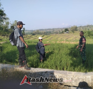 Komsos Babinsa Bahas Solusi Lindungi Lahan Petani