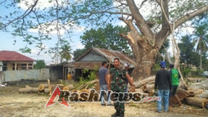 Babinsa Turun Langsung Bantu Amankan Pemotongan Pohon