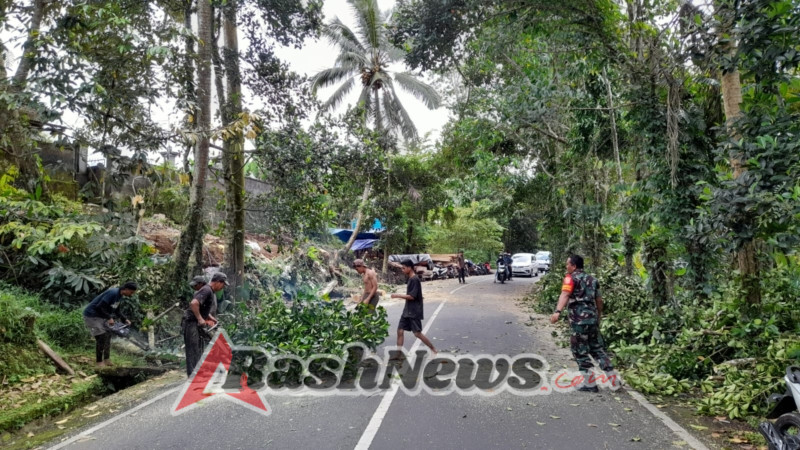 Wujudkan Jalan Aman, Babinsa Jehem dan Warga Laksanakan Penebangan Pohon