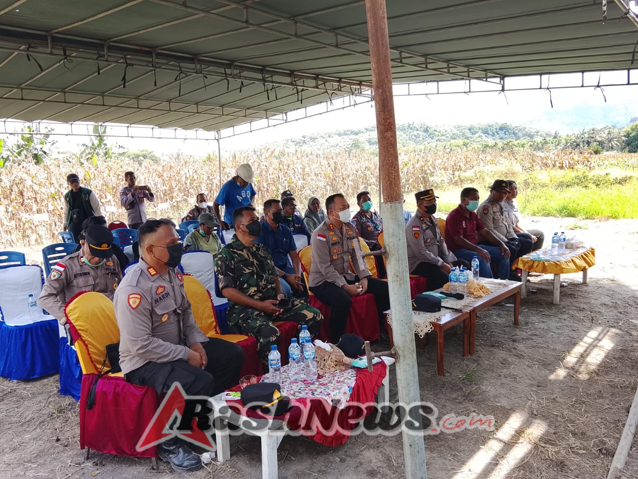 Danramil 1624-06/Wulanggitang Hadiri Panen Raya Serentak Kuartal III di Desa Boru