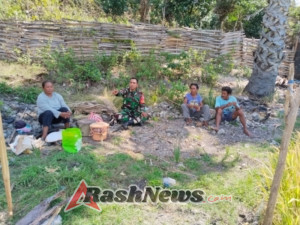 Babinsa Koramil 1627-01/Ba’a Dampingi Petani Panen Padi di Desa Kuli