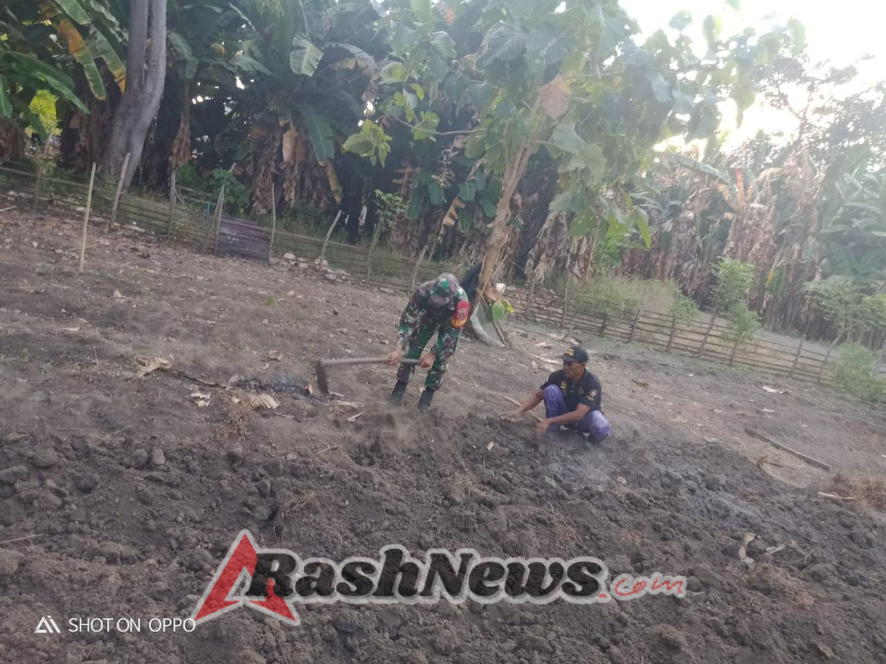 Wujudkan Kemanunggalan, Babinsa Piringsina Aktif Bersama Petani