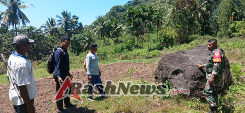 Dukung Ketahanan Pangan, Babinsa Ende Terjun Langsung Dampingi Petani Cek Lahan Sawah