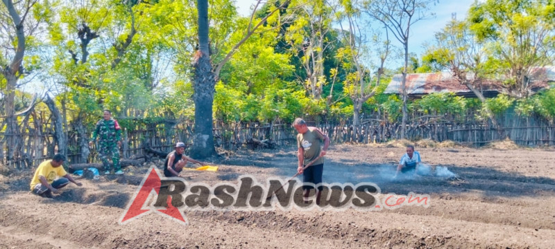 Babinsa Koramil 1618-03/Insut Berperan Aktif dalam Pembinaan Kelompok Tani di Desa Humusu Wini